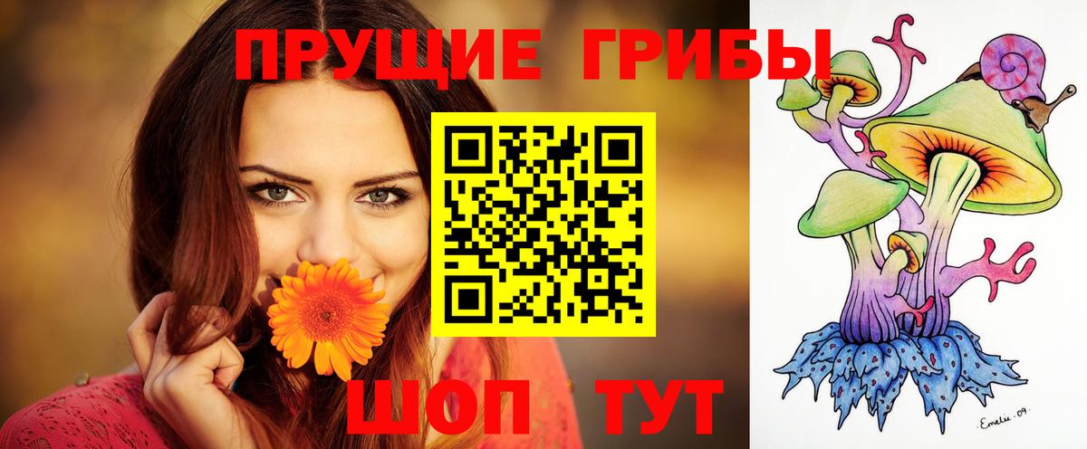 Галлюциногенные грибы GOLDEN TEACHER  Вход с VPN  Тейково  Галлюциногенные грибы Cubensis 